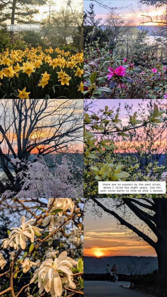collages of six spring flower photos against the sunset on the hudson river
