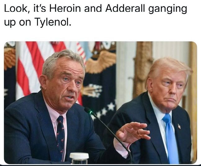 Photo of the felon and RFK JR with text above that says "Look, it's heroin and Adderall ganging up on Tylenol 