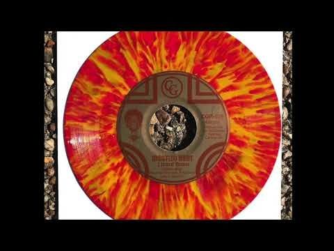 Mestizo Beat - Lizard Brain