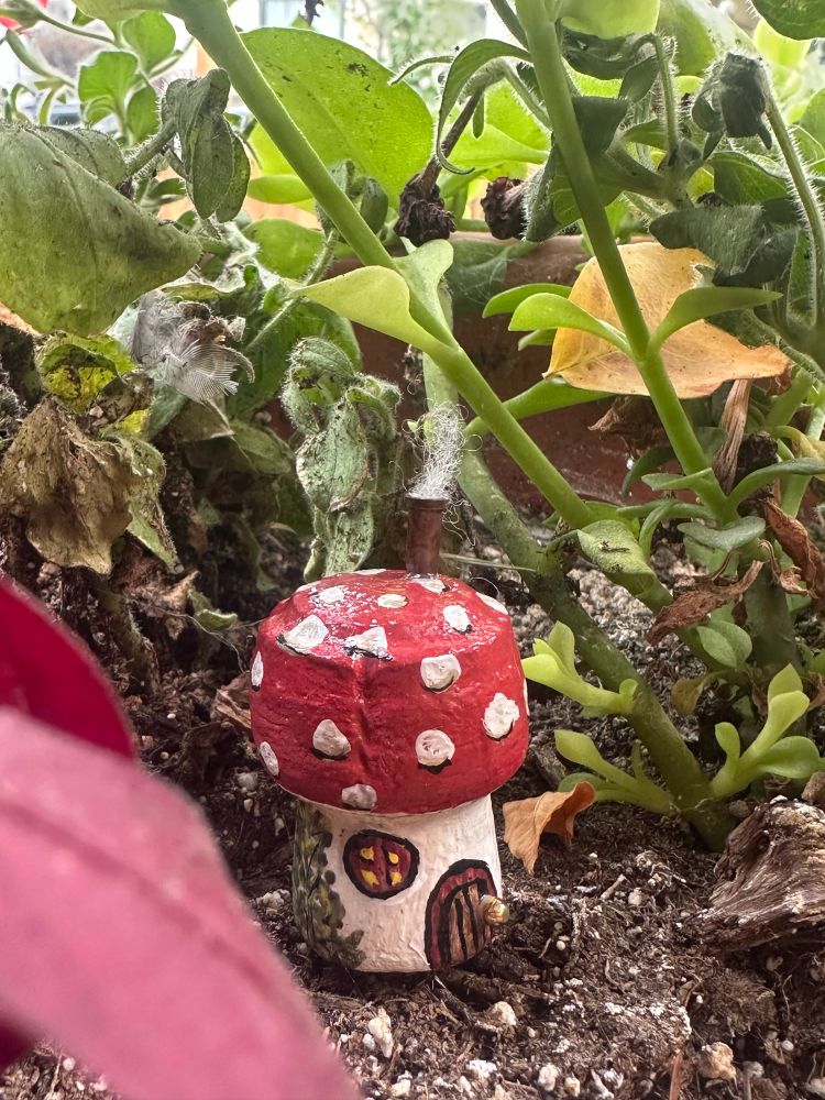 Tiny red capped mushroom house with a gold door knob and a little chimney with smoke coming out of it. Green vines painted on the side. A little round window and arched doorway. Nestled in a flower pot surrounded by green and red leaves. 