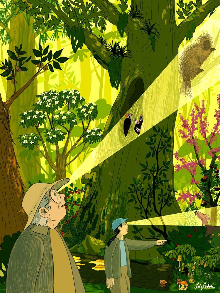 “Plant blindness” personal illustration about how humans tend to favor and recognize animal species over plant ones 