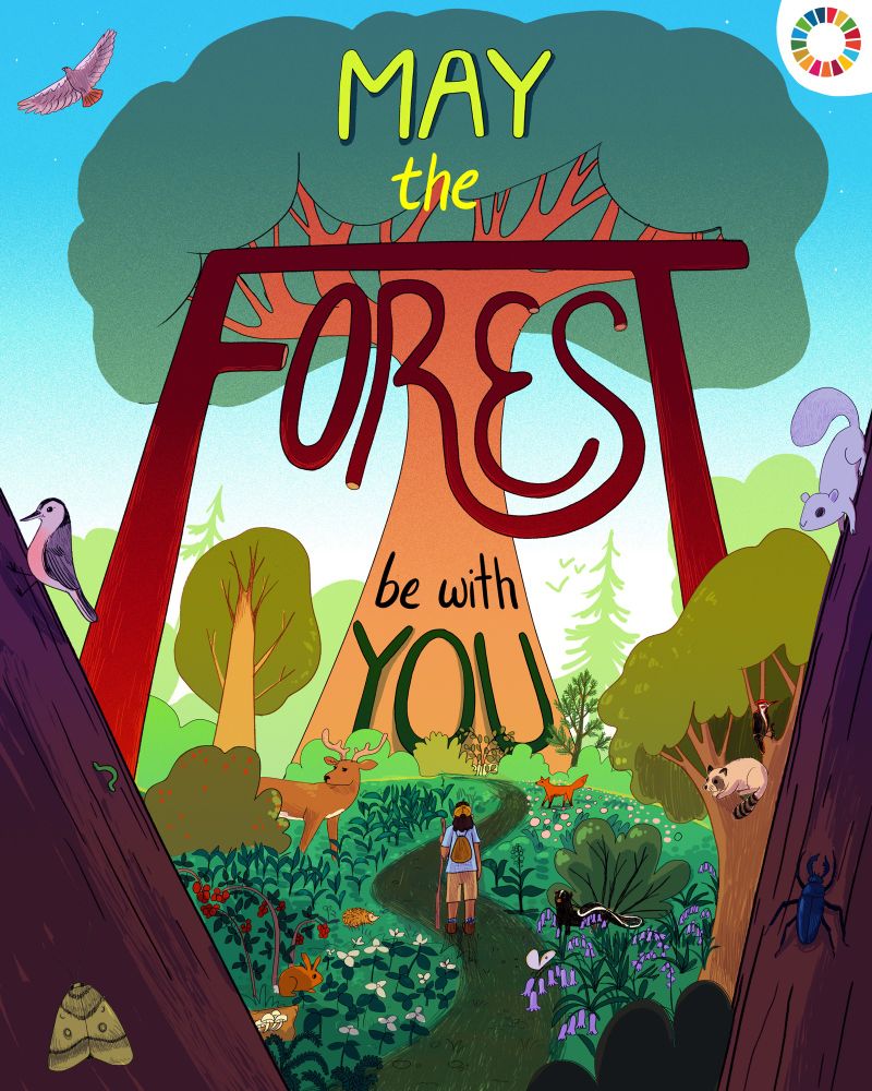 Illustrated poster featuring the letters “May the Forest be with You” prominently in the center, a large tree takes up the far background, and in the foreground we can see lots of detailed plants, animals, and a hiker enjoying the scenery. Palette is primarily bright greens and warm browns, with accents of blue and purple 