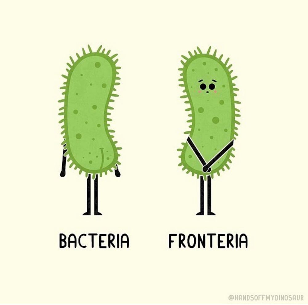 Cartoon by @HANDSOFFMYDINOSAUR. Bacteria, showing the back of a bacteria. Fronteria, showing the front and face of a bacteria.