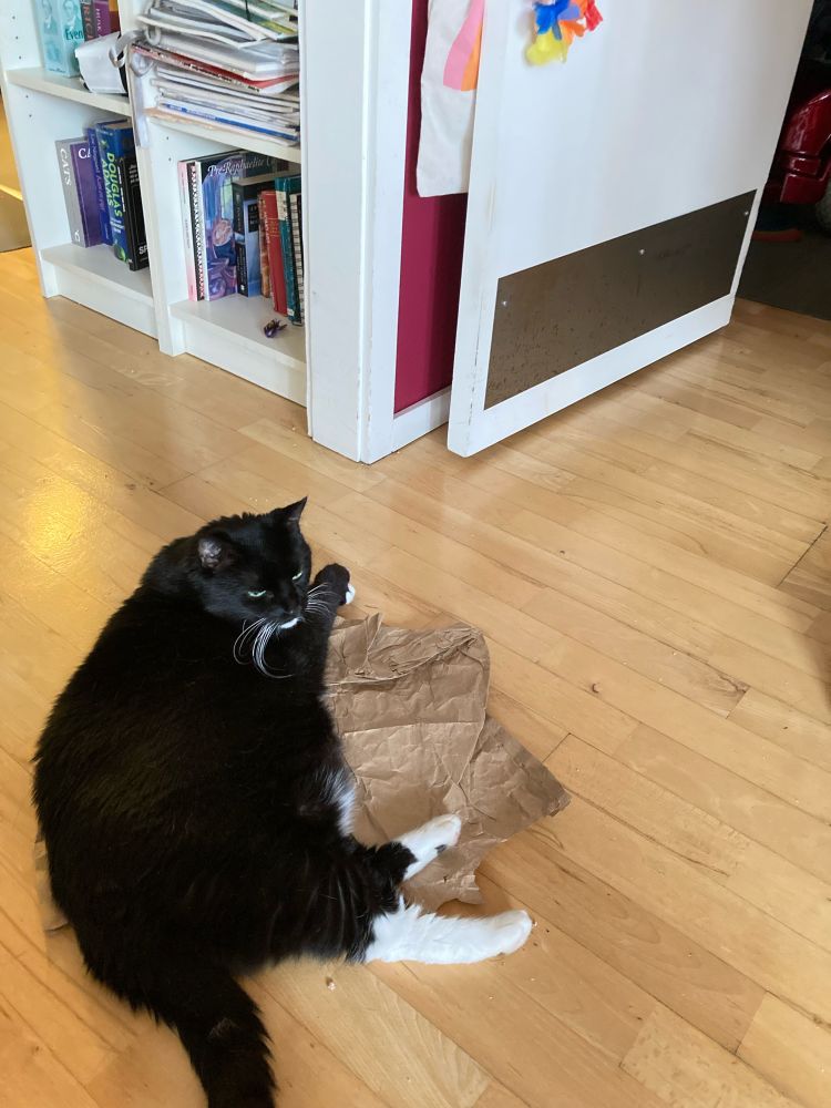 “Me and my emotional support paper.“
Tuxedo cat lying on the floor on top of a piece of brown wrapping paper.