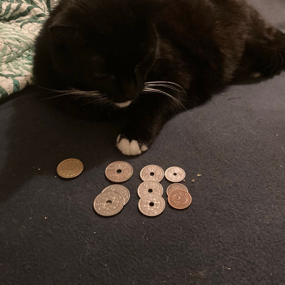 “Gather around fellow cats, and I’ll teach you how to count your pocket money.”
Tuxedo cat lying on a messy bed with 42, 50 in danish kroner coins