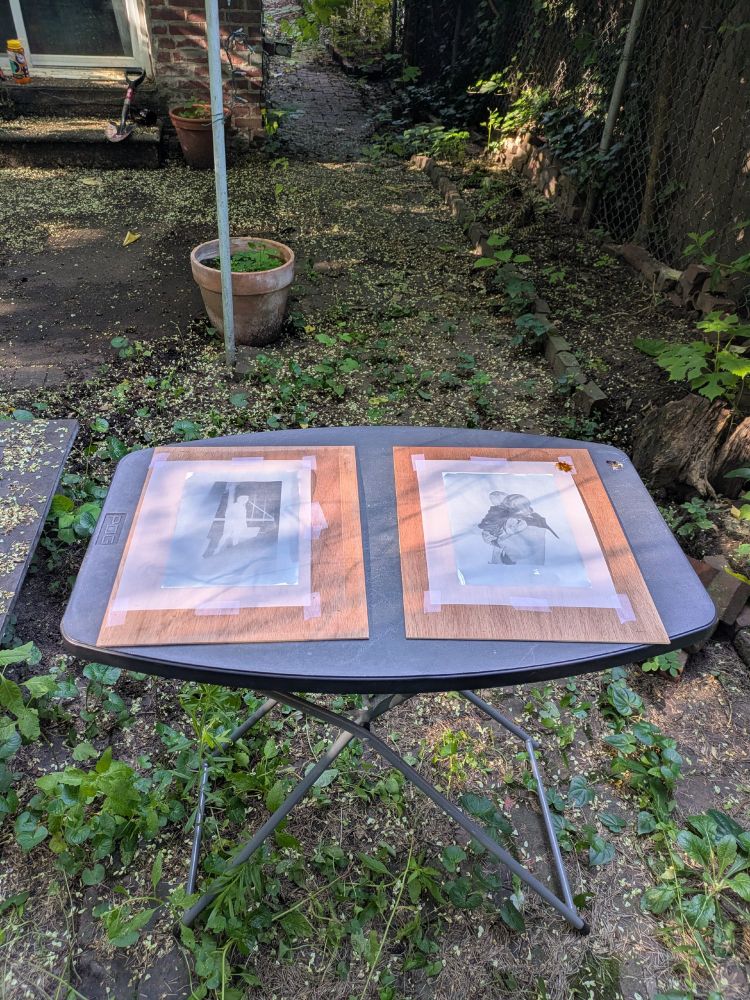 In a weed-strewn back yard, a black plastic table stands. On it are two boards, on which are taped two negative images printed on translucent paper (it's vellum BTW).  It's hard to tell but a bird took a crap on one of them. (They came out awful, complete fuckups. Cyan-NO-type, amrite.)