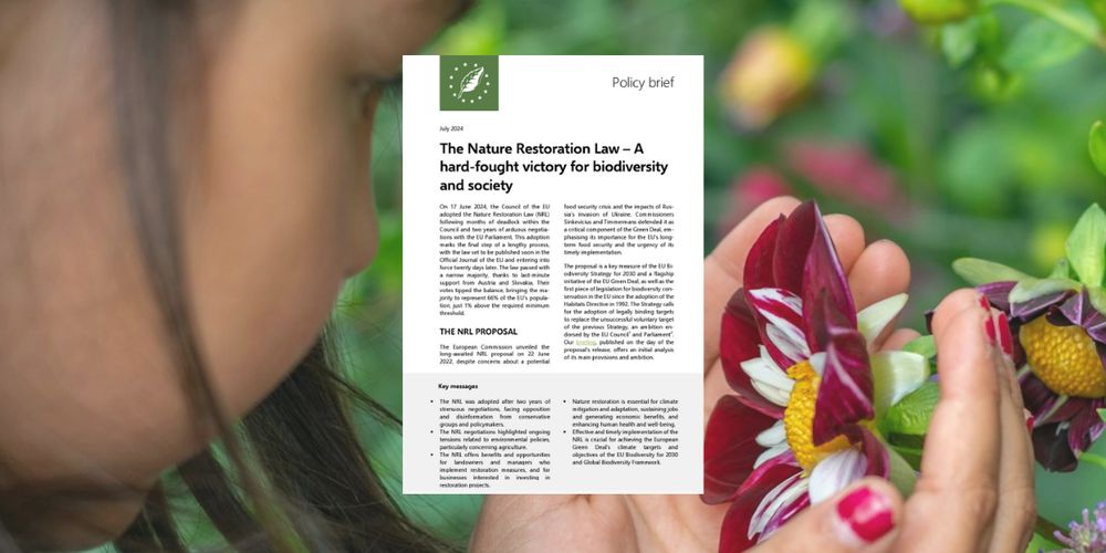 The Nature Restoration Law – A hard-fought victory for biodiversity and society  - IEEP AISBL