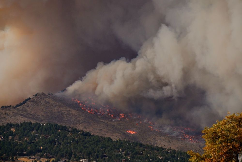 Wildfires in the EU: from response to resilience - IEEP AISBL