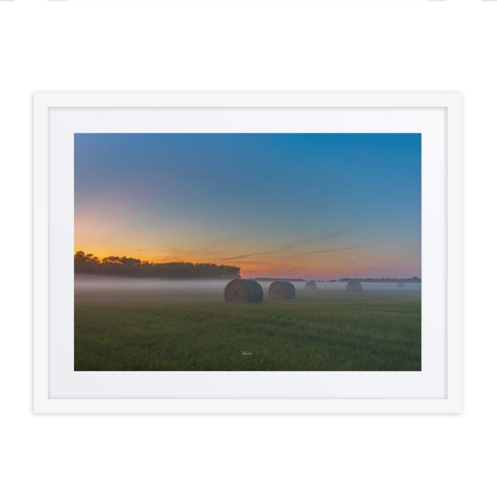 Golden Horizon in Austin – Framed with White Matting
Order yours today and bring a touch of nature’s tranquility into your home! 🏠 https://www.rudidueck.com/store/p/golden-horizon-in-austin-framed-with-white-matting

Capture the beauty of the golden hour with this stunning framed print, featuring the peaceful fields of Austin, Manitoba. As the sun sets, warm golden light blankets the landscape, with mist rising over the hay bales, creating a serene and dreamy atmosphere. The elegant white matting enhances the depth and detail of the scene, making it a timeless addition to any space. Available in black, oak, or white frames.

#AustinManitoba #GoldenHorizon #FramedWithMatting #SunsetArt #ManitobaPhotography #RuralScenery #HayBalesPrint #FoggyField #GoldenHourGlow #FramedNature #Frame #PictureFrame 

Get your favourite image printed from me by going to https://rudidueck.com/store  or contacting me at: Photographer@RudiDueck.com

You can also get pictures printed and framed from me as well and also do Canvas.

All of my Pictures have been taken with a Canon 5D Mark IV. Lenses Canon 100-400mm Canon 24-105mm Sigma14mm F1.8
Follow Me on Twitter or Vero @RudiDueck 
Subscribe to our YouTube channel, @NomadOutdoorAdventures 
Website: https://linktr.ee/nomadoutdooradventures
#PhotographerRudiDueck
#DigitalArt 
#ExploreMB
@ExploreMB
#travelmanitoba
@travelmanitoba
#BirdPhotography
#NightPhotograhy
#Stars
#Astrophotography
#Astronomy
#GM
#raw_GM
#GM_Lovers
#Snap_Member 
All Images/Video Rights Belong to @PhotographerRudiDueck
#NaturePhotography 
#LandscapePhotography 
#WildlifePhotography 
#ScenicViews 
#OutdoorAdventure  
#NaturalBeauty 
#ExploreNature 
#CaptureTheWild 
#EarthPix 
#Wilderness 
#FlowerPower 
#SunsetMagic 
#MountainScapes 
#Waterfalls 
#BirdsOfParadise 
#ForestLife 
#NatureLovers 
#MacroWorld 
#SeasonsChange 
#HikingAdventures
#NomadPhotographer #OutdoorAdventurePhotography 
#NatureExplorer 
#RudiDueckAdventures 
#WildernessPhotography 
#LandscapeNomad 
