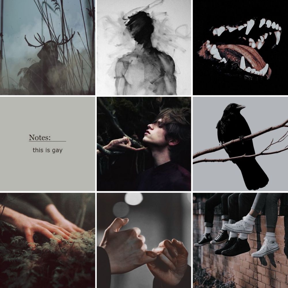 A nine image moodboard of a deer skull, a boy with the face blurred out, a wolf's maw, a note saying "this is gay", a boy being beckoned into trees, a raven, hands digging into green undergrowth, two hands making a pinkie promise, and feet hanging off a ledge.