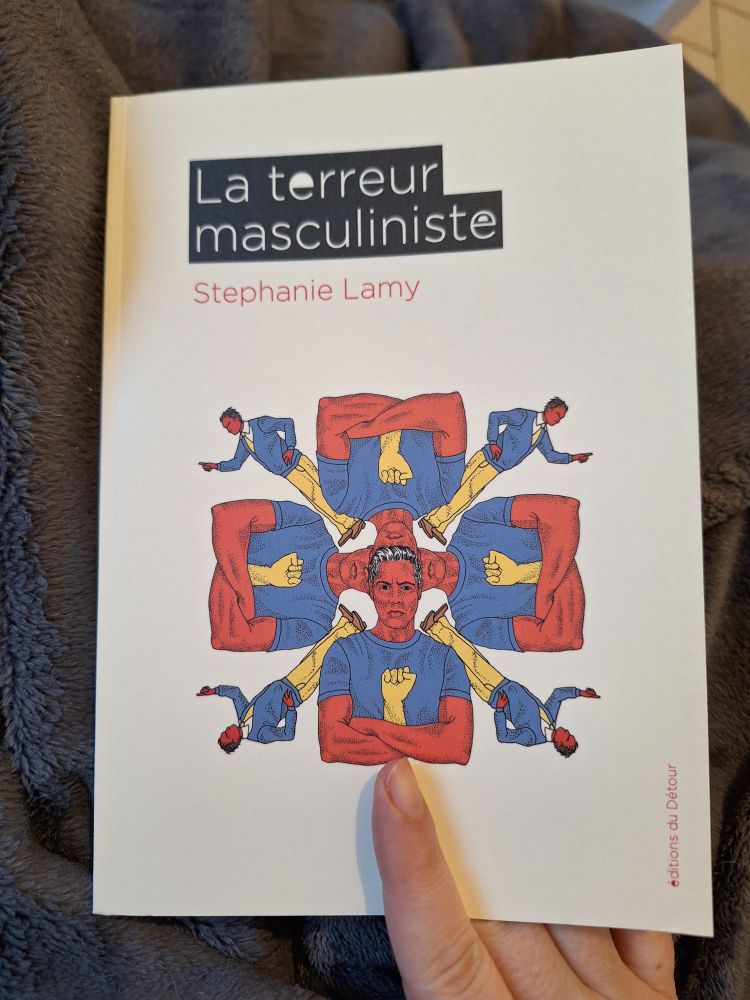 Livre "La terreur masculiniste" posé sur un plaid gris foncé. Je le tiens pour ma photo, j'en montre la couverture