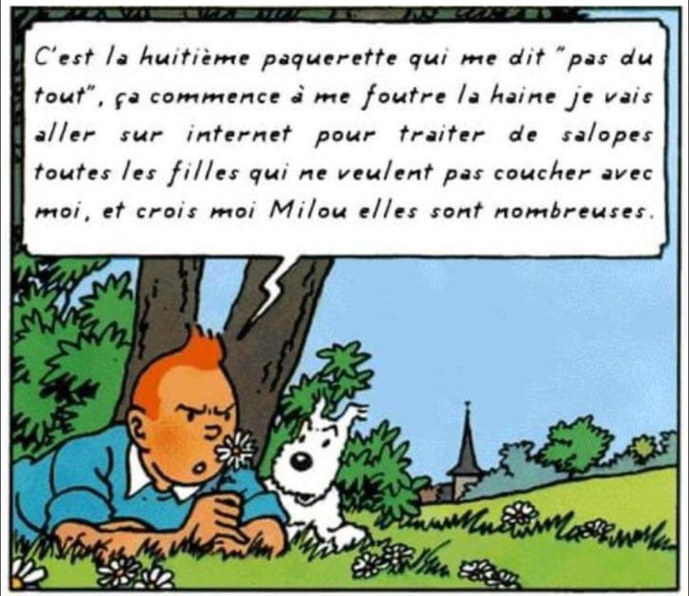 Bulle de BD Tintin avec Tintin à plat vendre à l'orée d'un bois avec Milou à côté de lui. Tintin tient une paquerette et dit :
C'est la huitième pâquerette qui me dit "pas du tout", ça commence à me foutre la haine je vais aller sur internet pour traiter de salopes toutes les filles qui ne veulent pas coucher avec moi, et crois moi Milou elles sont nombreuses.