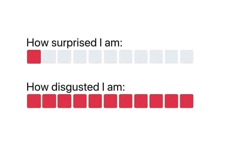 10 white squares and a red one on the left end with " How surprised I am:" above the text
"How disgusted I am:" with 11 red squares below the text