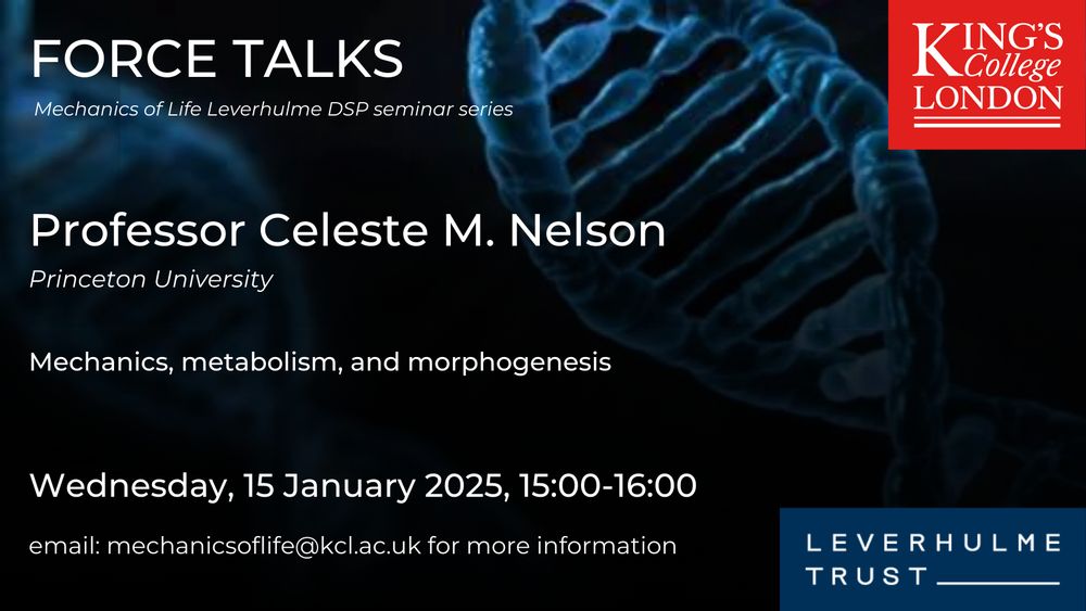 Background of DNA strand with logos of King's College London and the Leverhulme Trust and text Force Talks Mechanics of Life Leverhulme DSP seminar series Professor Celeste M. Nelson Princeton University Mechanics, metabolism, and morphogenesis Wednesday, 15 January 2025, 15:00-16:00 email:mechanicsoflife@kcl.ac.uk for more information