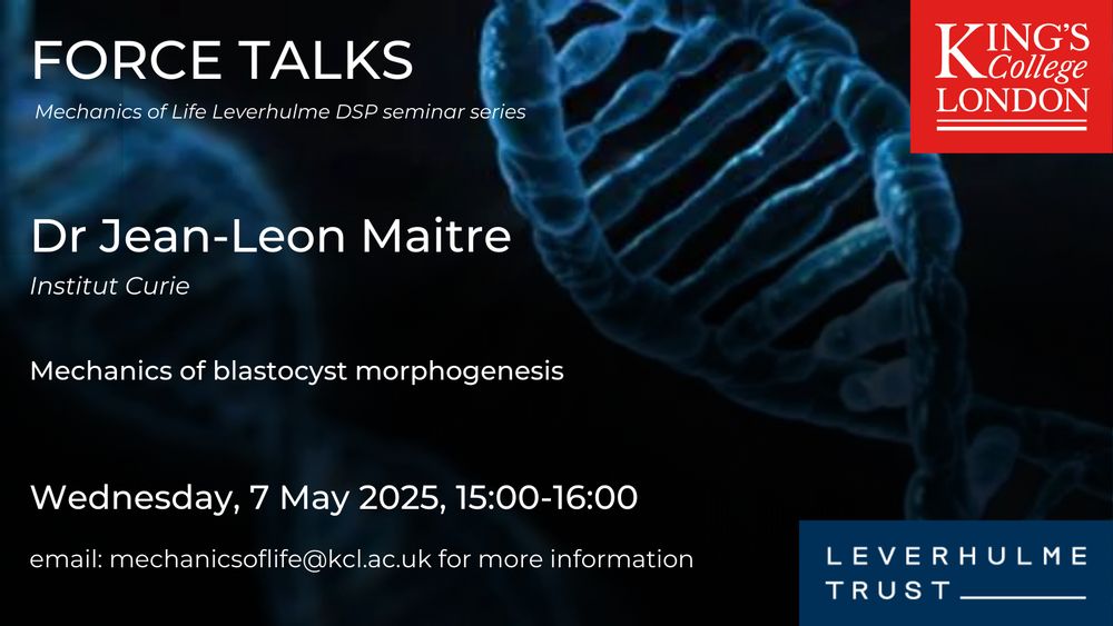Background of DNA strand with logos of King's College London and the Leverhulme Trust and text Force Talks Mechanics of Life Leverhulme DSP seminar series Dr Jean-Leon Maitre Institut Curie Mechanics of blastocyst morphogenesis Wednesday, 07 May 2025, 15:00-16:00 email:mechanicsoflife@kcl.ac.uk for more information