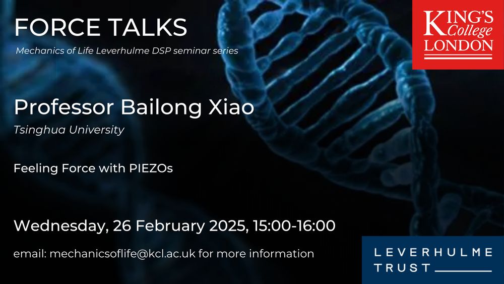 Background of DNA strand with logos of King's College London and the Leverhulme Trust and text Force Talks Mechanics of Life Leverhulme DSP seminar series Professor Bailong Xiao Tsinghua University Feeling Force with PIEZOs Wednesday, 26 February 2025, 15:00-16:00 email:mechanicsoflife@kcl.ac.uk for more information
