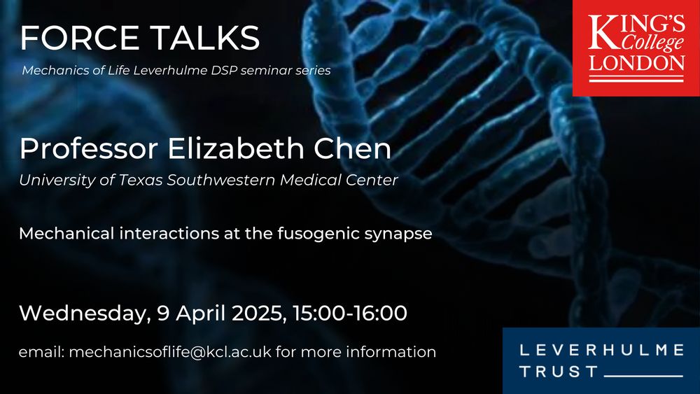 Background of DNA strand with logos of King's College London and the Leverhulme Trust and text Force Talks Mechanics of Life Leverhulme DSP seminar series Professor Elizabeth Chen University of Texas Southwestern Medical Center Mechanical interactions at the fusogenic synapse Wednesday, 9 April 2025, 15:00-16:00 email:mechanicsoflife@kcl.ac.uk for more information