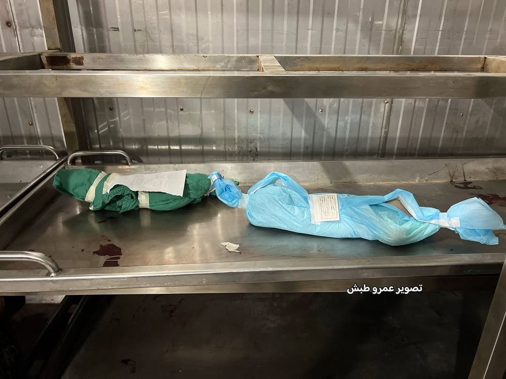 2 more babies killed by Zionists 