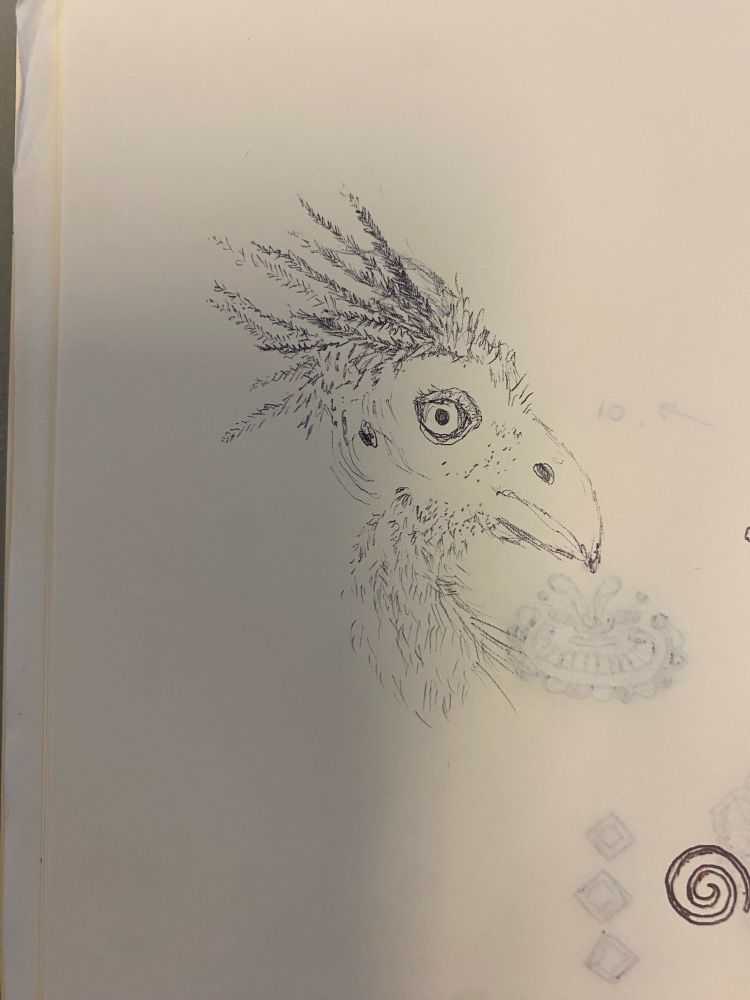 just a bird sketch
