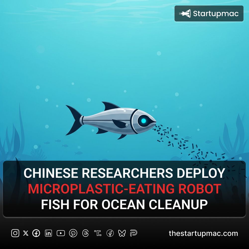 Tiny soft-bodied robotic fish developed at Sichuan University can absorb microplastics, self-heal if damaged, and be controlled via light—offering a novel approach to marine pollution.