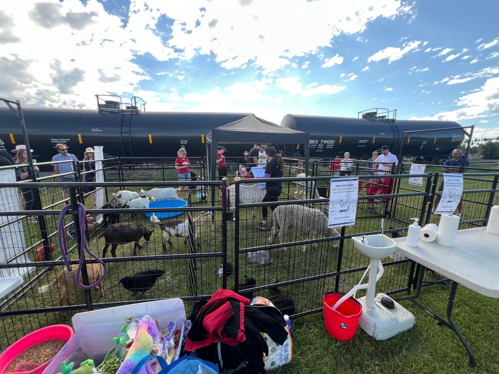 Petting zoo