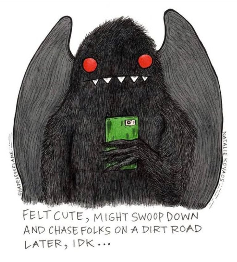 FELT CUTE, MIGHT SWOOP DOWN AND CHASE FOLKS ON A DIRT ROAD
2W
ESS9134VH
LATER, IDK...