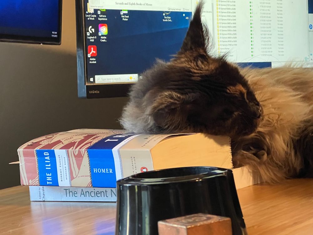 Brown tortoiseshell cat naps with her head on a book. 