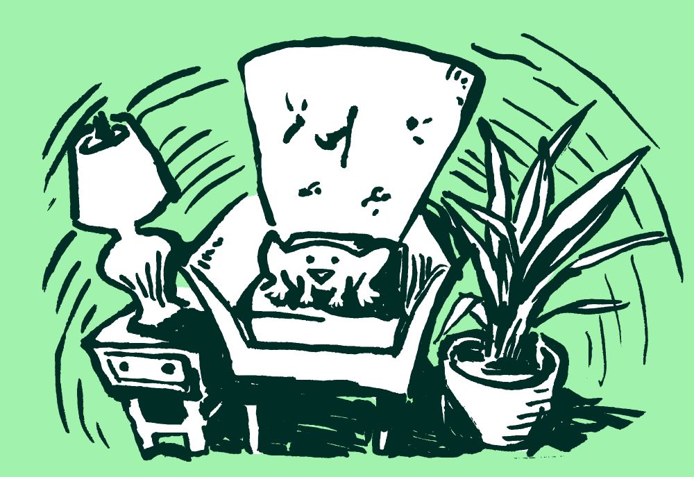 a simple frog character sitting on a fancy chair surrounded with a plant and a lamp on a night stand on each side