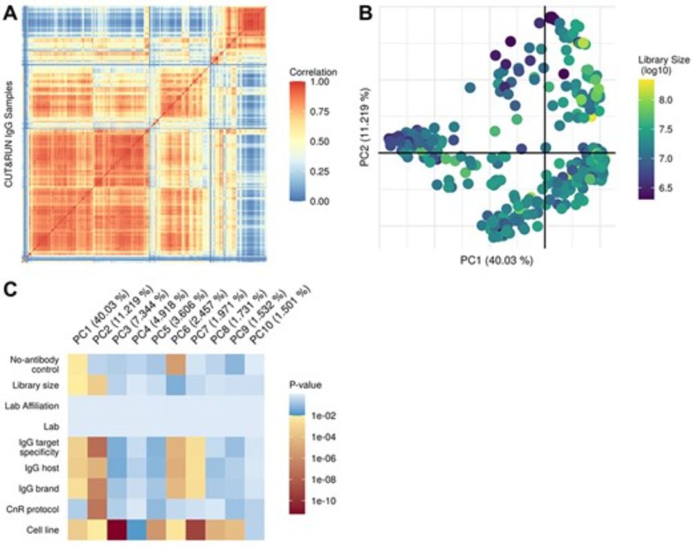 The CUT&RUN greenlist: genomic regions of consistent noise are effective normalizing factors for quantitative epigenome mapping