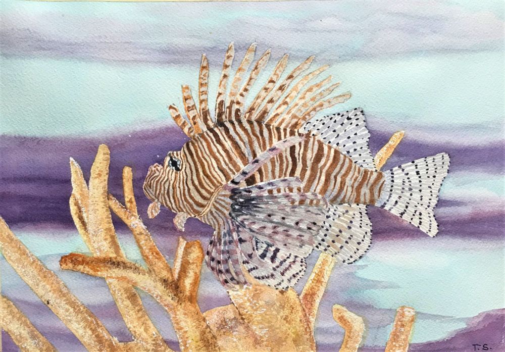 Painting: A lionfish with long, striped fins swims near yellow coral in a vibrant aquarium setting.