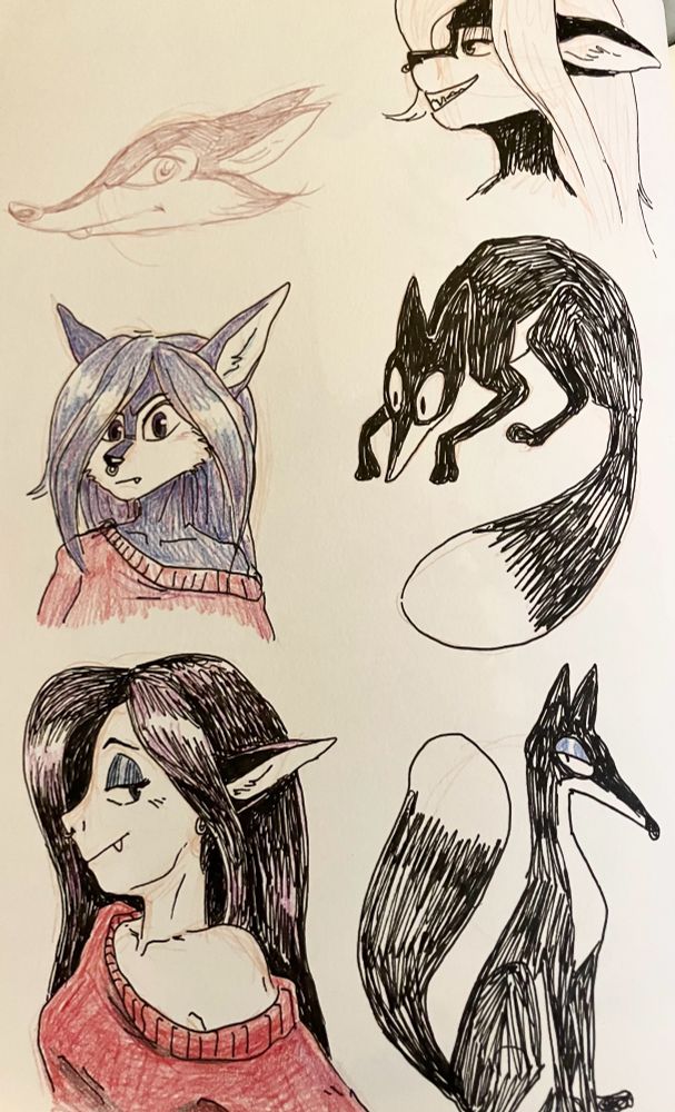 a page of cartoons depicting a shapeshifting black fox spirit in various forms: human (with a fox ear showing), furry/anthro, and normal fox