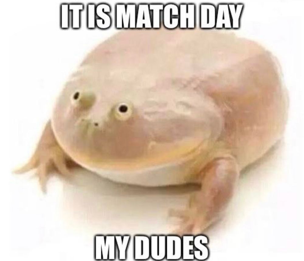 Image of a weird looking flat frog. Text reads “it’s match day my dudes” 
