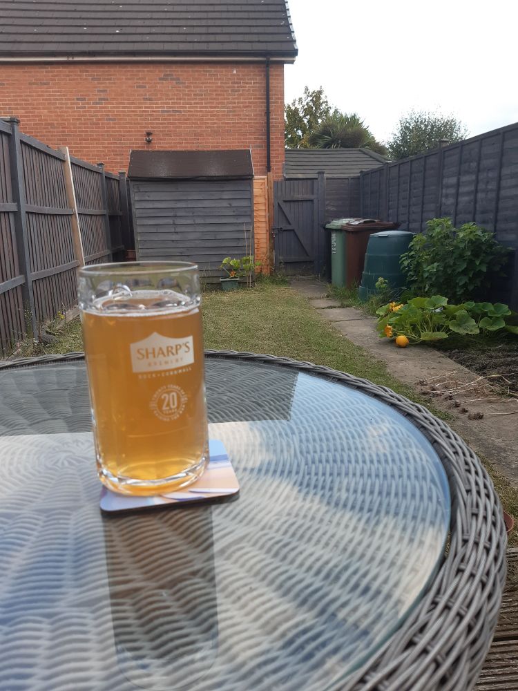 A pint of lager on a garden table, with the garden behind. 