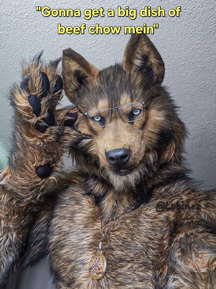 Werewolf with reading lenses. Most werewolves can hunt a deer at 100m but can’t read a menu without glasses.