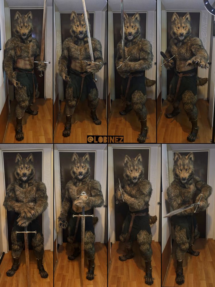 8 diferent poses of a werewolf (Lobinez) with a sword in different positions. 
