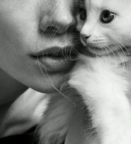 Photo : Pinterest