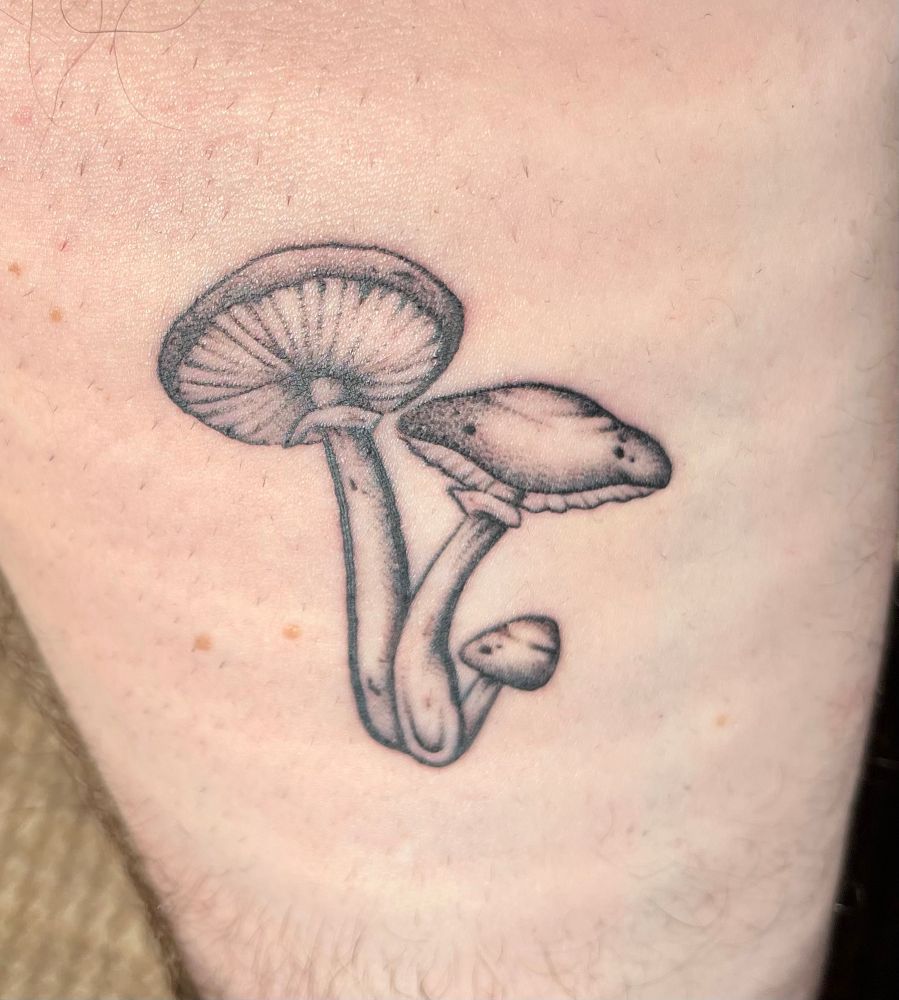 A close up shot of the inner forearm of a white man showing a monochrome tattoo of a group of three mushrooms, each one a different size. The tattoo is shaded and detailed with dot work