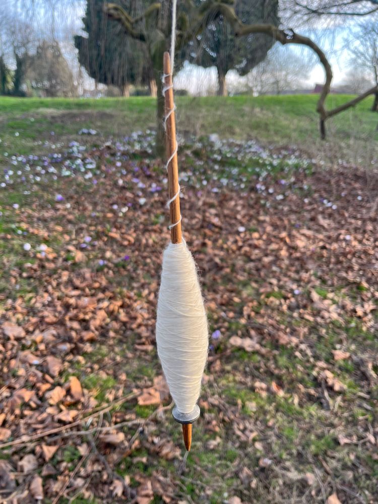 A stick spindle with a metal whorl hangs in the centre of the picture. It is loaded with cream coloured single spun yarn. In the background we can see trees and a blue sky above the green grass of the ground. The ground is covered with the remains of fallen autumn leaves and between them little pops of white and purple crocus flowers peep through 