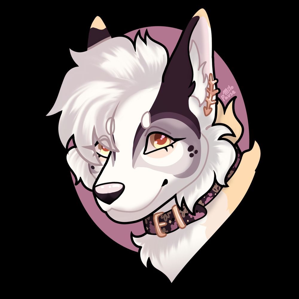 A digital illustration of a bust of a anthro canine. She has a collar with a flower print on it and a gold earring. Her fur is white, pale lavender, pale yellow, and black. She has yellow eyes and fluffy fur. The art is signed "Milo Pause".