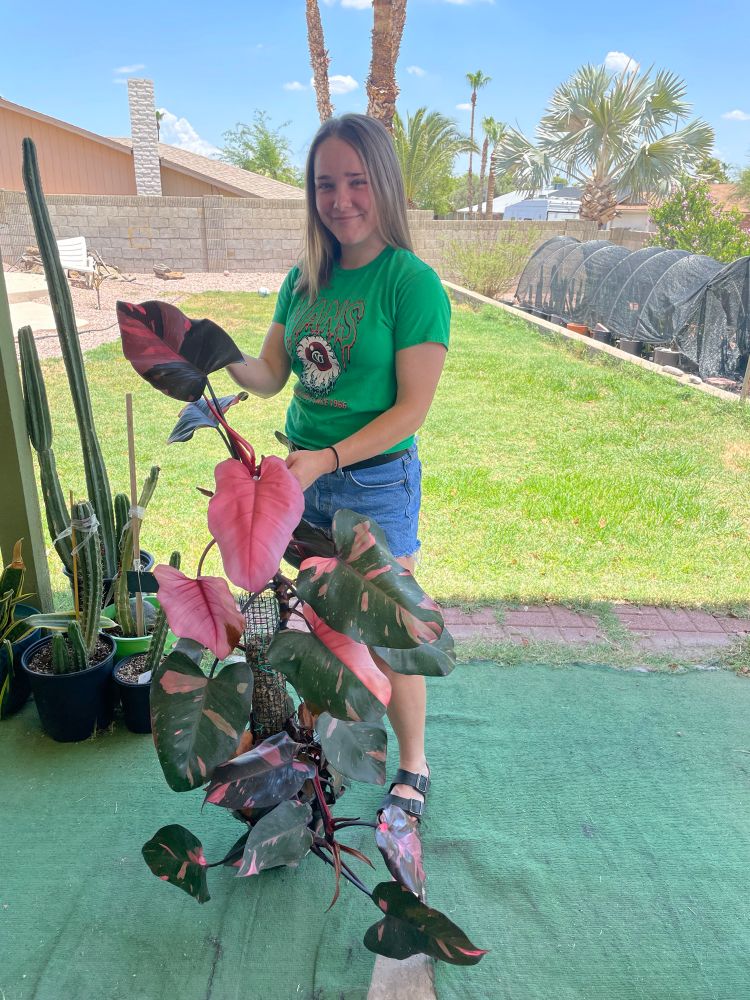 my standing behind the pink princess. i’m 5ft tall and the plant comes up to my chest