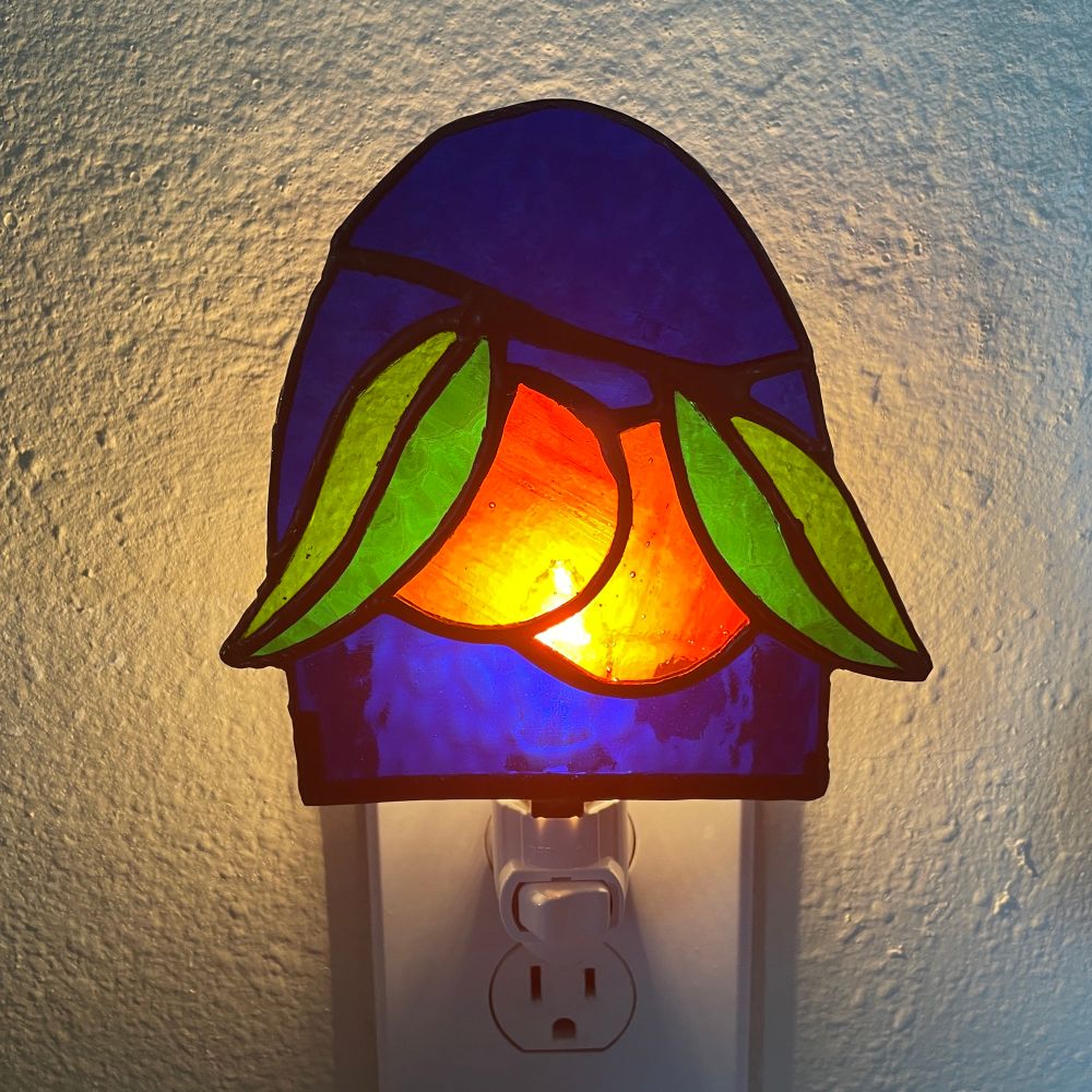 the night light plugged in and turned on 