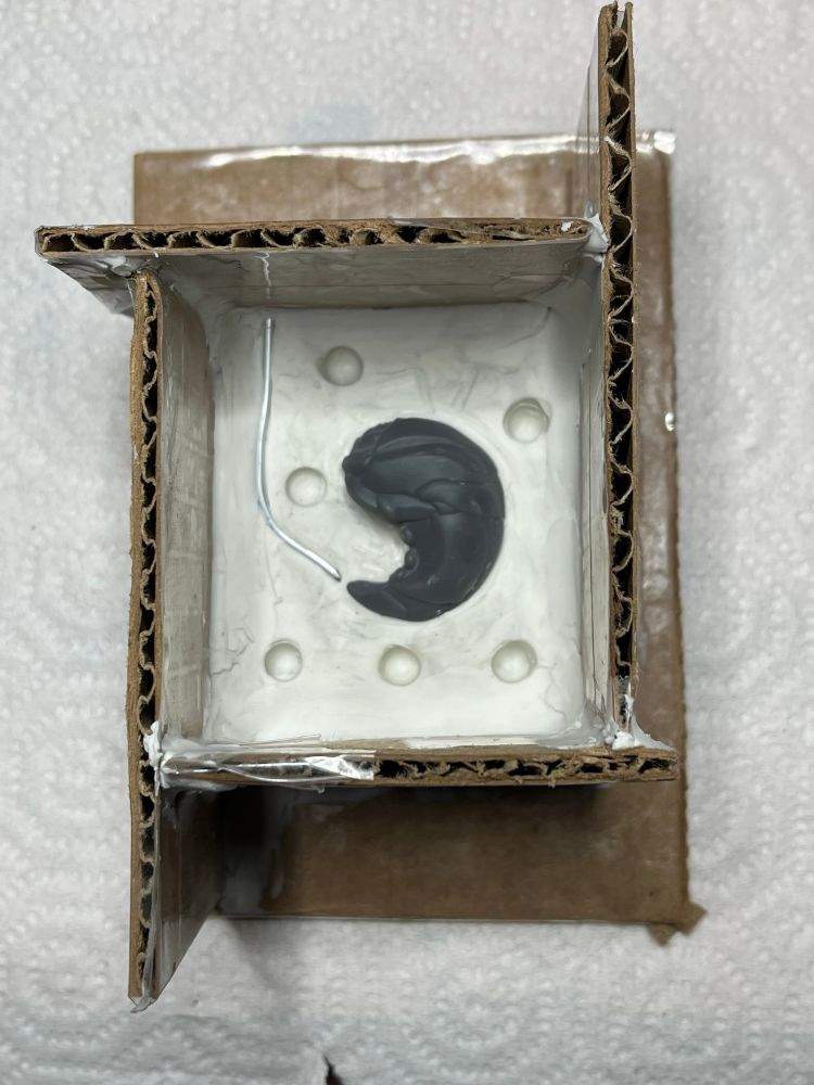 mold box with plasticine holding the 3d print of a grub-like machine creature 