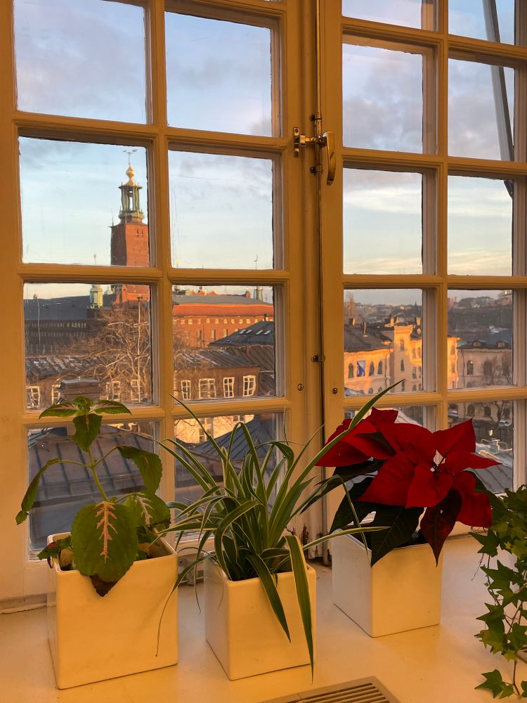 Svag eftermiddagssol på Stadshuset