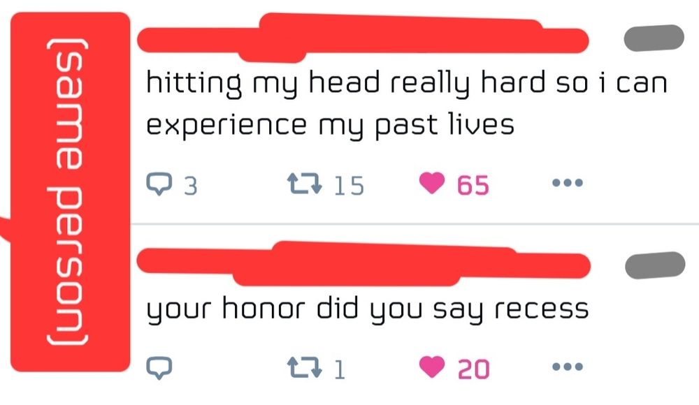Person A: "hitting my head really hard so i can experience my past lives"
Person A in the next tweet in the Skyline: "your honor did you say recess"