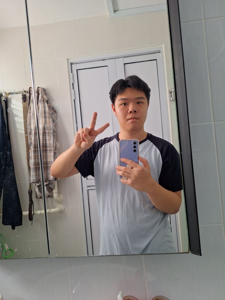 I look into the mirror. This is me, my upper torso in all its basic boy glory.