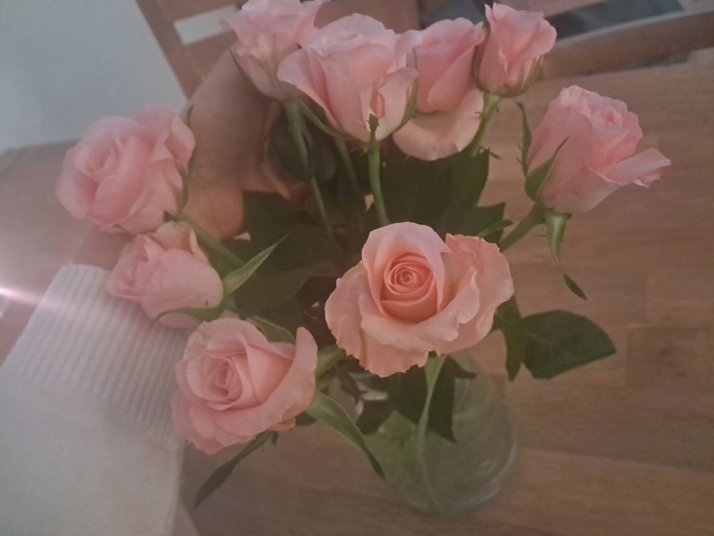 Bought myself cute roses in a pale pastel pink color