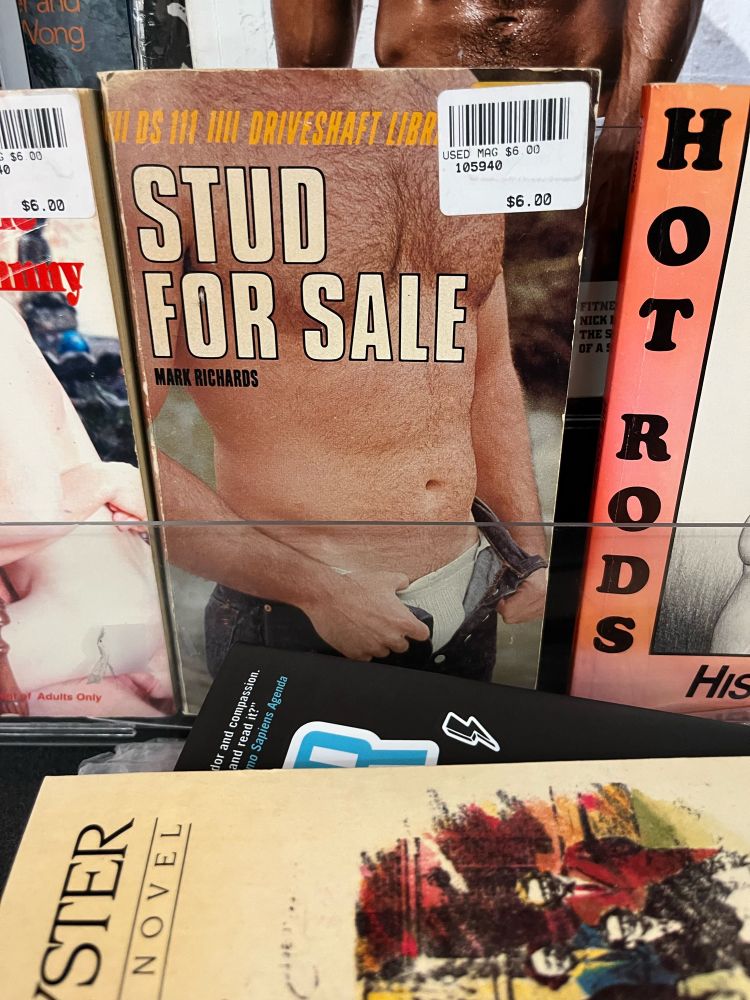 A hairy chested white man clutching at his bulge as the cover image of an erotic book