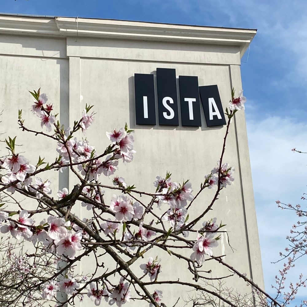 Picture of ISTA logo on a building with blossoming cherry trees in front.
