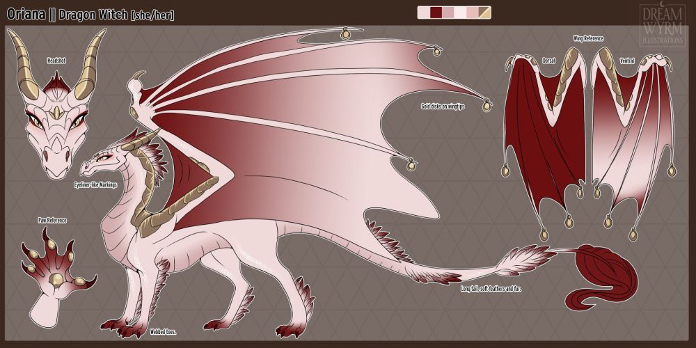 A female dragon ref sheet