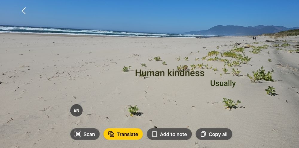 A sunny day at Manhattan Beach State Park, OR.  Superimposed on the photo are Google's valiant attempts at translating the beach plants into English.